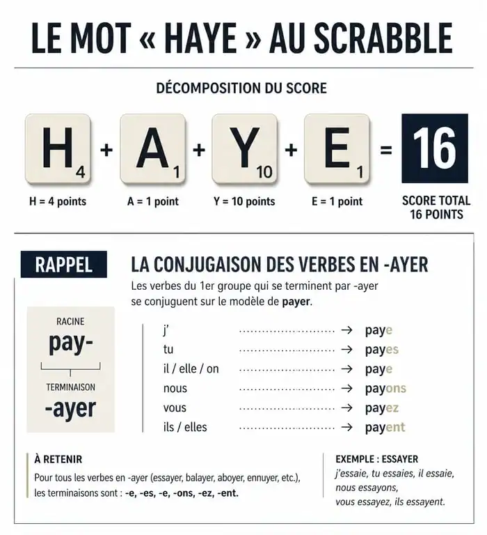 Infographie score Scrabble mot haye et règle verbes en -ayer